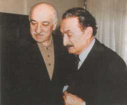 gulen06.jpg